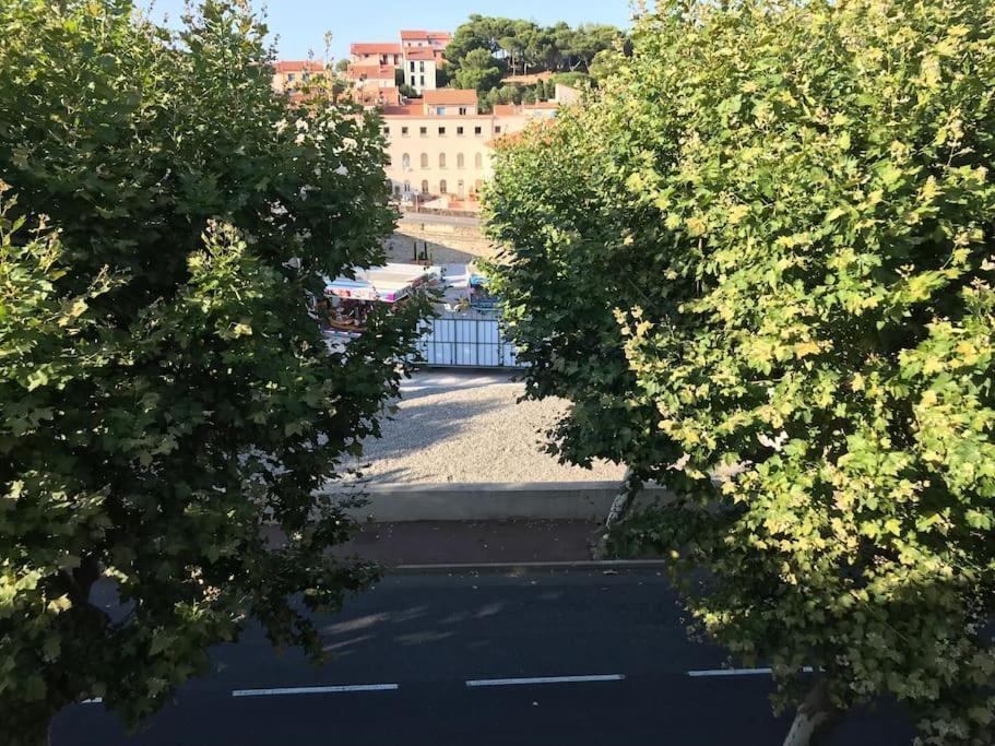 Studio Bon Dia/Balcon/Proche Criques Et Collioure Apartment Port Vendres Bagian luar foto