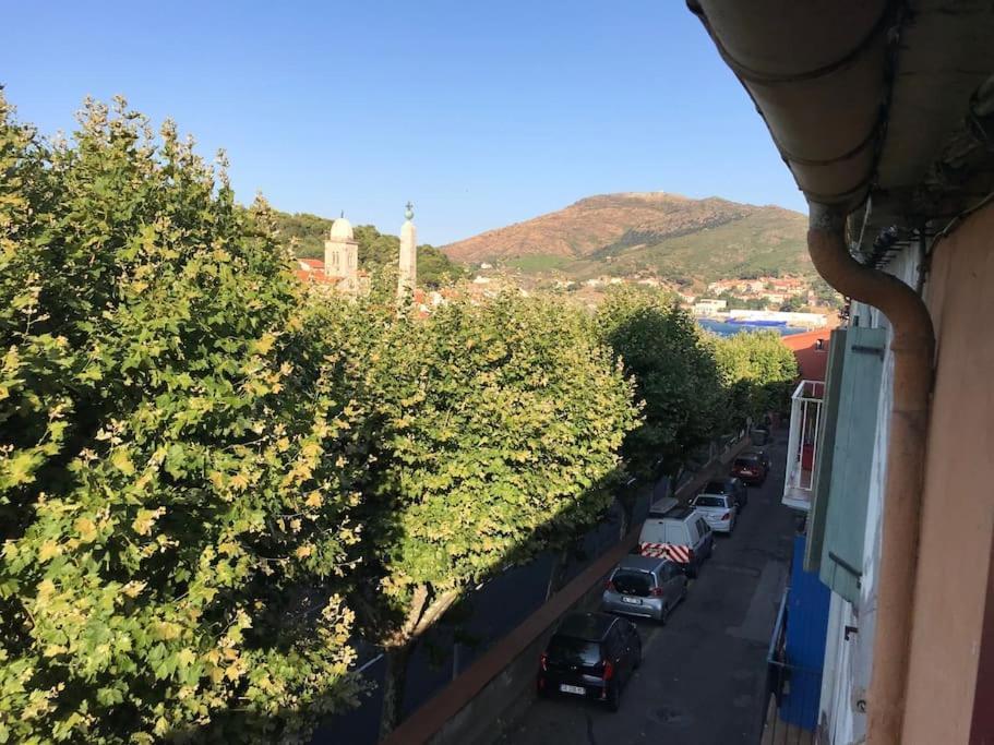 Studio Bon Dia/Balcon/Proche Criques Et Collioure Apartment Port Vendres Bagian luar foto